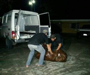 Personal forense mientras realiza el levantamiento del cadáver.