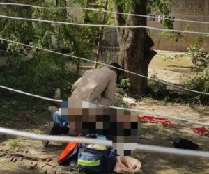 Como Melvin Hernández fue identificada la persona que cayó del árbol de tamarindo.