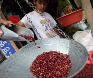 Los precios de los frijoles en los mercados se mantienen entre 50 a 60 lempiras.