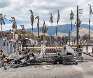 Los múltiples fuegos que se declararon la semana pasada, atizados por los fuertes vientos y la sequía de la isla, siguen ardiendo, pese a los esfuerzos de los bomberos para extinguirlos.