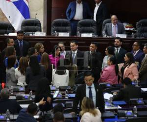 OACNUDH pide al Congreso Nacional elegir autoridades electorales por mérito y no por política.