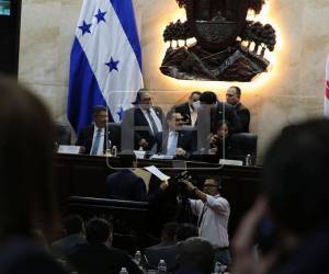 El Congreso desestimó la petición promovida por grupos campesinos al no cumplir con el número mínimo de respaldos válidos exigidos.