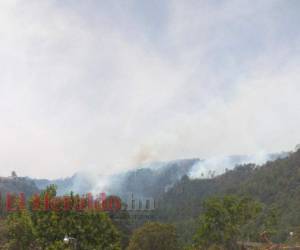Aún se desconoce cómo comenzó el fuego, pero los vecinos han solicitado ayuda desde el lunes por la noche. Foto: EL HERALDO.