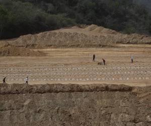 El cementerio municipal de la Esperanza, ampliado para poder acoger a las víctimas del doble terremoto del 24 de junio en Venezuela, sigue recibiendo cadáveres y enterrándolos, mientras los crematorios de Caracas y la morgue de La Guaira funcionan las 24 horas desde hace más de 15 días para hacer frente a los más de 3.899 muertos.