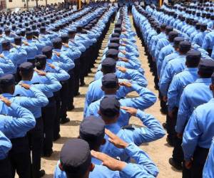 La Comisión Especial de Depuración llegará con el proceso de certificación hasta las escalas bajas de la Policía Nacional.