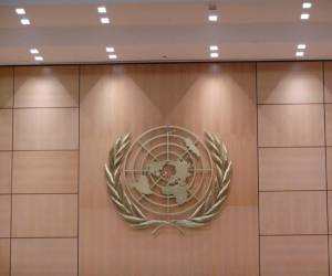 Con sede en Ginebra, el Consejo de Derechos Humanos (47 miembros) es el principal foro de Naciones Unidas sobre ese asunto.