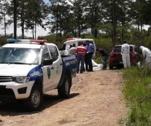 Al lugar llegaron miembros de la Policía Nacional y Medicina Forense para realizar el levantamiento del cadáver. Foto: EL HERALDO