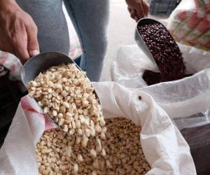 Los precios de los granos básicos registran aumento en julio de cada año y es a partir de septiembre que comienzan a bajar por la cosecha de primera.