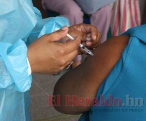 Con vacunas del IHSS han inoculado a 370,136 afiliados. Foto: El Heraldo