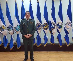 El coronel Arita se desempeñó como Comandante del Onceavo Batallón de Infantería y otros cargos de las Fuerzas Armadas.