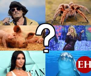 Algunas pueden parecer terroríficas y otras hasta absurdas, pero el miedo es una emoción humana que puede paralizar a cualquiera, inclusive a las estrellas más famosas. ¿Qué fobias te resultan más sorprendentes? Echa un vistazo a la galería y compruébalo tú mismo. FOTOS: AP