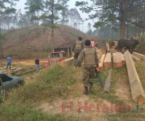 Las capturas se dieron luego de 40 operativos realizados por la Fuerza de Tarea Ambiental y el Ministerio Público.