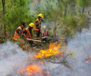 Miembros de las Fuerzas Armadas trabajaron intensamente durante el fin de semana para controlar incendios forestales registrados en distintos sectores del país. Un total de 15 incendios ocurrieron solo en el fin de semana.