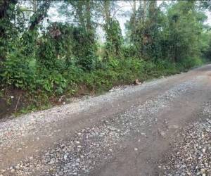 El cuerpo del hombre estaba en una cuneta, a la orilla de la calle.