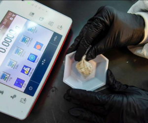 Así luce la 'Muerte Gris', la nueva droga altamente adictiva y fatal (Foto: Agencias/AP)