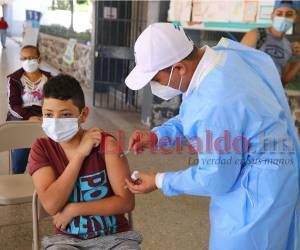 <span class=mln_uppercase_mln>El personal de salud confesó trabajar con lo que tiene a disposición, pero consideran alarmante el desabastecimiento.</span>