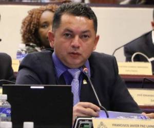 El diputado del partido Libertad y Refundación (Libre), Francisco Paz, cuestionó la falta de voluntad del gobierno para reactivar Banadesa.
