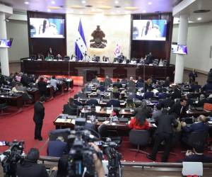 El Congreso Nacional de Honduras aprobó la Ley de Reactivación Económica y Desarrollo Humano.