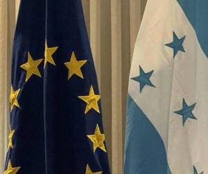 La UE señaló que la labor de la MOE UE busca contribuir a la confianza ciudadana y a la integridad del proceso electoral.