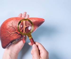 En el centro de la anatomía humana, el hígado coordina funciones vitales para todo el cuerpo. Una hidratación adecuada favorece la digestión, ayuda al tránsito intestinal y facilita los procesos de detoxificación natural, evitando que el cuerpo acumule sustancias de desecho que sobrecarguen tanto el hígado como la microbiota.