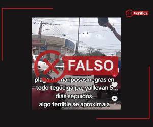 Captura de pantalla a una publicación de TikTok hecha el 14 de julio de 2026.
