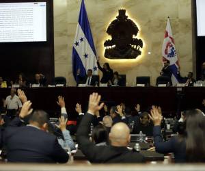 Reuniones decisivas definirán si se destraba la reforma eléctrica en el Congreso Nacional