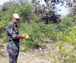 An Indian security official looks over the site that a Swiss woman was raped the night before near Gwalior, 212 miles (342 kilometres) from state capital Bhopal on March 16, 2013. A Swiss female tourist was gang-raped in rural central India, police said, the latest victim of sexual violence against women in the South Asian nation. The woman was on a cycling trip with her husband in impoverished Madhya Pradesh state, when seven to eight men attacked the couple on Friday night, sexually assaulting the woman and robbing the pair, police said. AFP PHOTO/ STR
