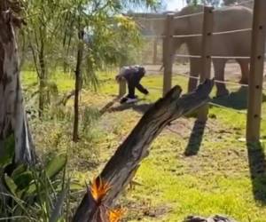 El hombre rápidamente huye de la embestida con su hija en brazos. Foto: Infobae.