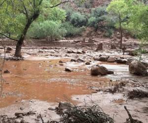 El Parque Nacional del Gran Cañón ocupa el cuarto lugar entre los parques nacionales más visitados de los Estados Unidos.