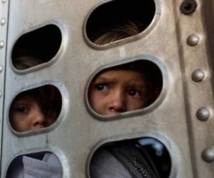 Dos niños hondureños son encerrados en un contenedor de ganado en México, para avanzar unos kilómetros desde Guadalajara a Tijuana en México. Foto: Rodrigo Abd / AP / El Heraldo.