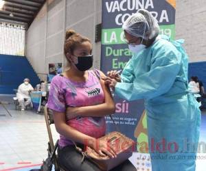 La meta es vacunar contra el covid-19 a 149 mil embarazadas a nivel nacional con la vacuna Pfizer, no hay riesgo para el bebé. Foto: El Heraldo