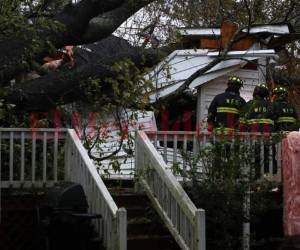 'Una mujer y su bebé murieron cuando un árbol cayó sobre su casa. El padre quedó herido' y está hospitalizado, escribió la policía en su cuenta de Twitter.