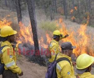 Los incendios siguen causando daños en los bosques, pero personal de varias instituciones realiza grandes esfuerzos para evitarlos. Foto: Archivo/ EL HERALDO