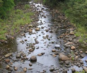 La montaña de Lepaterique, cabecera de los dos ríos de los que depende el 70% del agua de la capital, se ha convertido en una cama de tierra y piedras con apenas un poco de agua. Esa es la realidad que se enfrenta en las cuencas debido a la crisis hídrica producida por la sequía.