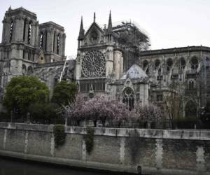 La catedral de Notre Dame es considerada un patrimonio cultural universal. Foto: AFP