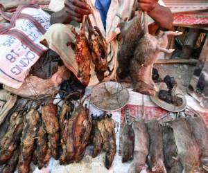 Un kilogramo de carne de rata se vende por unas 200 rupias (2,5 euros), es decir 69.17 lempiras, el mismo precio que pagarían por el pollo y el cerdo. Foto: AFP