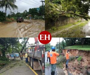 Las lluvias recientes han causado desastres en departamentos de la zona norte, centro y sur de Honduras.Árboles caído y calles intransitables son algunas de las emergencias atendidas.