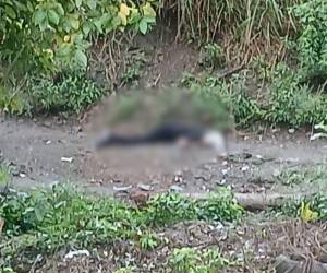 El cuerpo de Luis fue encontrado boca abajo con un rótulo.