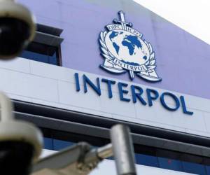 Los que eran menores en el momento de su rescate recibieron protección por parte de las autoridades de los países, según Interpol.