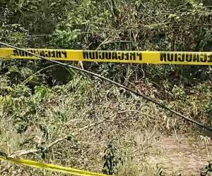 Las autoridades aún no han logrado identificar a la víctima que fue hallada desmembrada en Villanueva, Cortés.