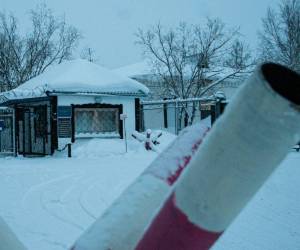 La muerte de Navalni en la cárcel IK-3 que también es conocida como “Lobo Polar” ha generado una ola de indignación a nivel internacional y ha vuelto a poner en el foco la situación de los presos políticos en Rusia.