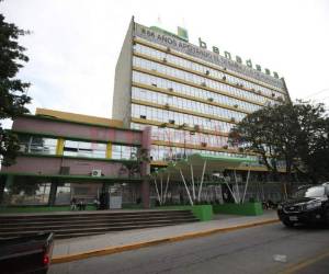 Los administradores oficiales son los que harán una evaluación total de la situación financiera y luego se tomarán las medidas necesarias para decidir la forma de volver operativo a Banadesa.