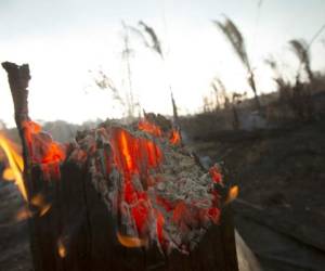 Más de tres semanas lleva incendiándose la Amazonia. Foto: Agencia EFE.