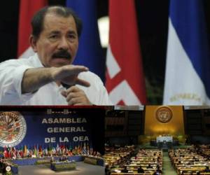 La OEA y la ONU piden al gobierno de Nicaragua frenar las violaciones a los derechos humanos y un alto a la represión del pueblo nicaragüense. Foto: Agencia AFP