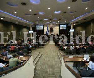 La comisión de estilo hará los cambios y agregados en los próximos días para que después se envíe el decreto al Ejecutivo y proceda a sancionarlo. Foto: EL HERALDO