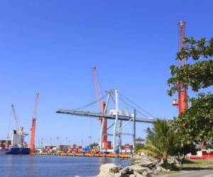 La Operadora Portuaria Centroamericana tiene previsto comprar más de 20 grúas.