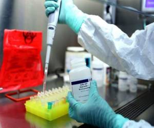 Expertos estiman que si el laboratorio de Cortés realiza 500 pruebas de coronavirus, la mitad saldría positiva, lo que coincide con los datos analizados por EL HERALDO. Foto: Archivo.