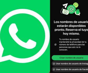 Desde hoy, 29 de junio, está abierto el plazo de reserva de nombres de usuario para WhatsApp.