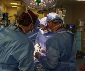 El paciente sufría una enfermedad renal en fase terminal. Slayman, que sufría diabetes de tipo 2 e hipertensión, había recibido un riñón humano en 2018, pero este órgano comenzó a dejar de funcionar cinco años más tarde .