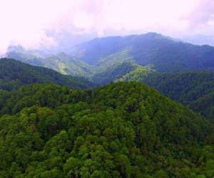 Montaña Verde se rige bajo un reglamento interno por parte del consejo indígena, el cual estableció una serie de directrices para garantizar la sana convivencia social en la comunidad.